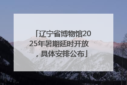 辽宁省博物馆2025年暑期延时开放，具体安排公布