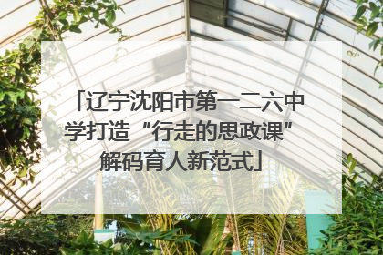 辽宁沈阳市第一二六中学打造“行走的思政课” 解码育人新范式