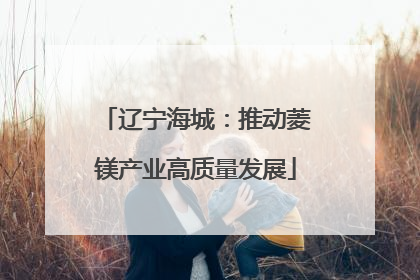 辽宁海城：推动菱镁产业高质量发展