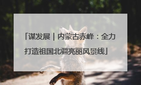 谋发展｜内蒙古赤峰：全力打造祖国北疆亮丽风景线
