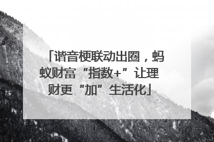谐音梗联动出圈，蚂蚁财富“指数+”让理财更“加”生活化