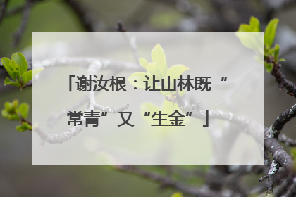 谢汝根：让山林既“常青”又“生金”