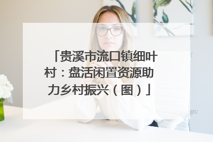 贵溪市流口镇细叶村：盘活闲置资源助力乡村振兴（图）
