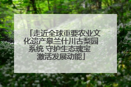 走近全球重要农业文化遗产皋兰什川古梨园系统 守护生态瑰宝 激活发展动能