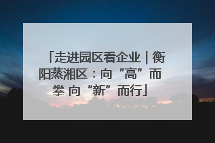 走进园区看企业｜衡阳蒸湘区：向“高”而攀 向“新”而行