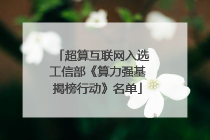 超算互联网入选工信部《算力强基揭榜行动》名单