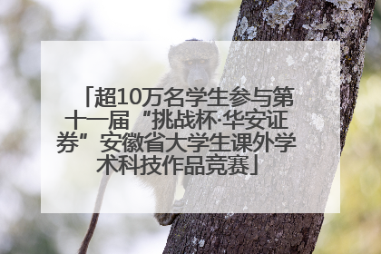 超10万名学生参与第十一届“挑战杯·华安证券”安徽省大学生课外学术科技作品竞赛