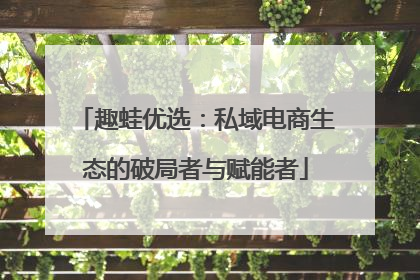 趣蛙优选：私域电商生态的破局者与赋能者