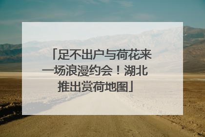 足不出户与荷花来一场浪漫约会！湖北推出赏荷地图