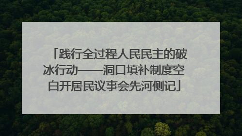 践行全过程人民民主的破冰行动——洞口填补制度空白开居民议事会先河侧记