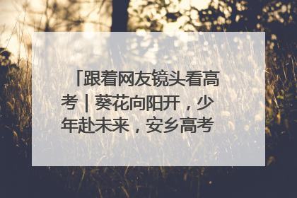 跟着网友镜头看高考｜葵花向阳开，少年赴未来，安乡高考首日的希望图景