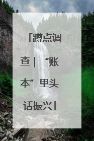 蹲点调查｜“账本”里头话振兴