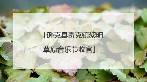 逊克县奇克镇黎明草原音乐节收官