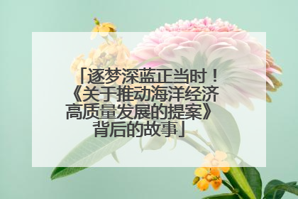 逐梦深蓝正当时！《关于推动海洋经济高质量发展的提案》背后的故事