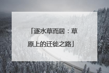逐水草而居：草原上的迁徙之路