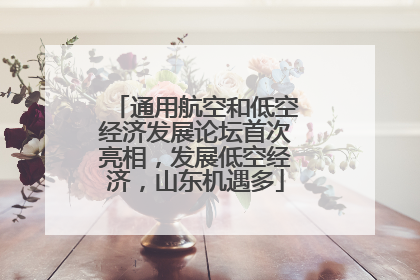通用航空和低空经济发展论坛首次亮相，发展低空经济，山东机遇多