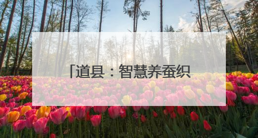 道县：智慧养蚕织就致富新“丝路” 千亩桑园托起“家门口”的幸福