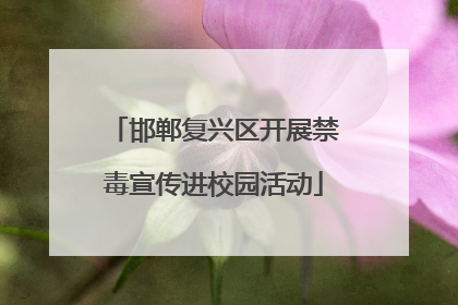 邯郸复兴区开展禁毒宣传进校园活动