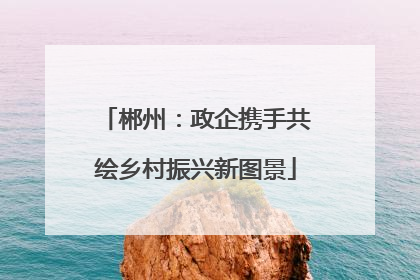 郴州：政企携手共绘乡村振兴新图景