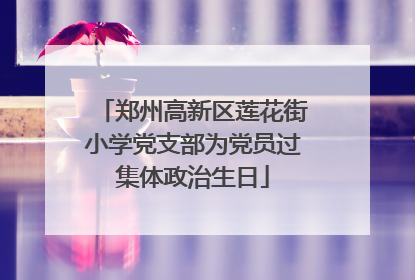 郑州高新区莲花街小学党支部为党员过集体政治生日