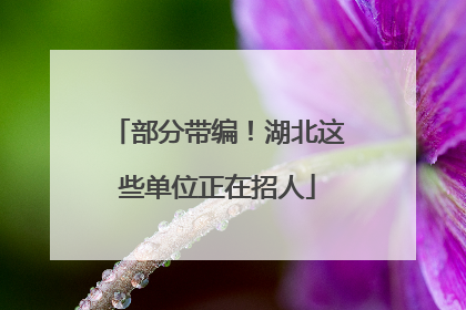 部分带编！湖北这些单位正在招人