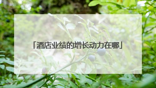 酒店业绩的增长动力在哪