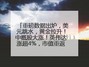 重磅数据出炉，美元跳水，黄金拉升！中概股大涨！英伟达涨超4%，市值重返全球第一！黄仁勋计划出售至多600万股股票