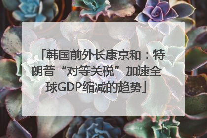 韩国前外长康京和：特朗普“对等关税”加速全球GDP缩减的趋势
