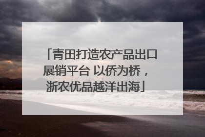 青田打造农产品出口展销平台 以侨为桥，浙农优品越洋出海