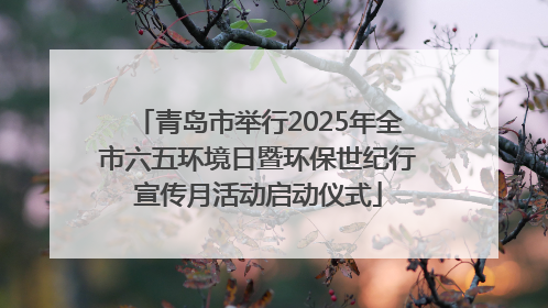 青岛市举行2025年全市六五环境日暨环保世纪行宣传月活动启动仪式