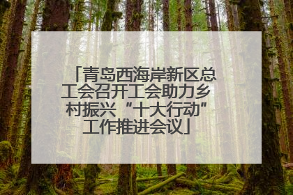 青岛西海岸新区总工会召开工会助力乡村振兴“十大行动”工作推进会议