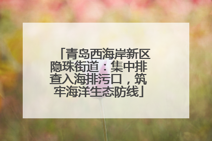 青岛西海岸新区隐珠街道：集中排查入海排污口，筑牢海洋生态防线