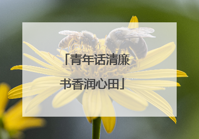 青年话清廉 书香润心田