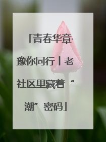 青春华章·豫你同行丨老社区里藏着“潮”密码