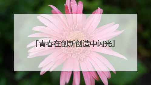 青春在创新创造中闪光