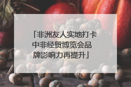 非洲友人实地打卡 中非经贸博览会品牌影响力再提升