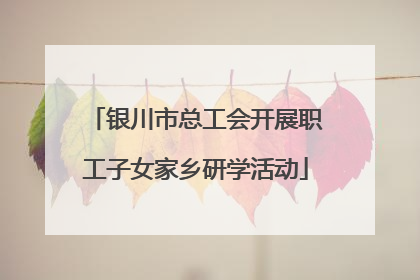 银川市总工会开展职工子女家乡研学活动