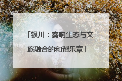 银川：奏响生态与文旅融合的和谐乐章