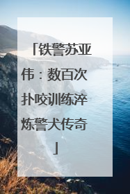 铁警苏亚伟：数百次扑咬训练淬炼警犬传奇