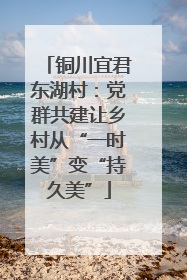 铜川宜君东湖村：党群共建让乡村从“一时美”变“持久美”