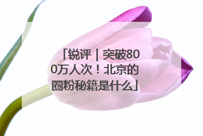 锐评｜突破800万人次！北京的圈粉秘籍是什么