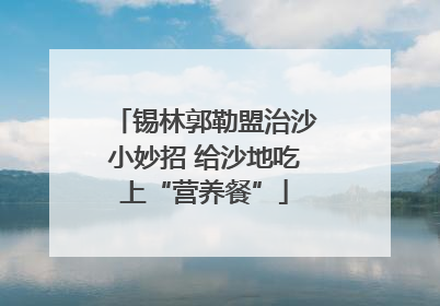 锡林郭勒盟治沙小妙招 给沙地吃上“营养餐”