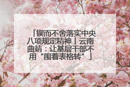 锲而不舍落实中央八项规定精神丨云南曲靖：让基层干部不用“围着表格转”