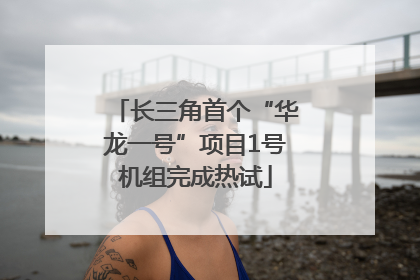 长三角首个“华龙一号”项目1号机组完成热试