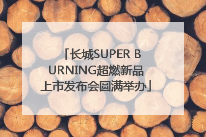 长城SUPER BURNING超燃新品上市发布会圆满举办