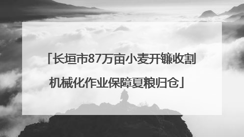 长垣市87万亩小麦开镰收割 机械化作业保障夏粮归仓