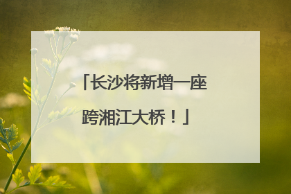 长沙将新增一座跨湘江大桥！