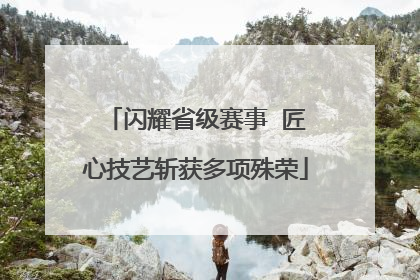 闪耀省级赛事  匠心技艺斩获多项殊荣