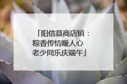 阳信县商店镇：粽香传情暖人心 老少同乐庆端午
