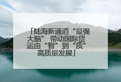 陆海新通道“最强大脑” 带动国际货运由“智”到“质”高质量发展